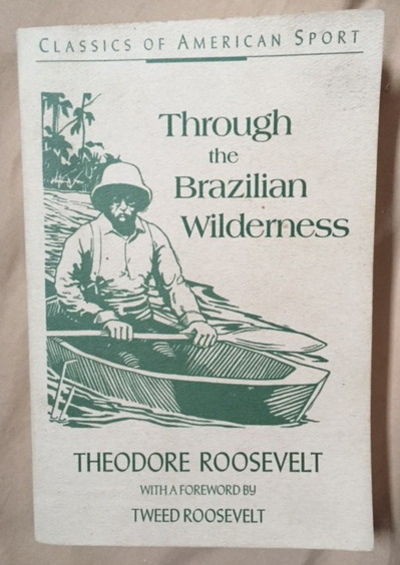 Image for Through the Brazilian Wilderness