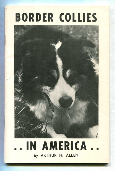 Image for Border Collies in America