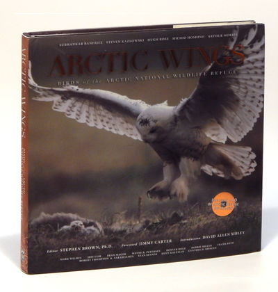Image for Arctic Wings (With CD)
