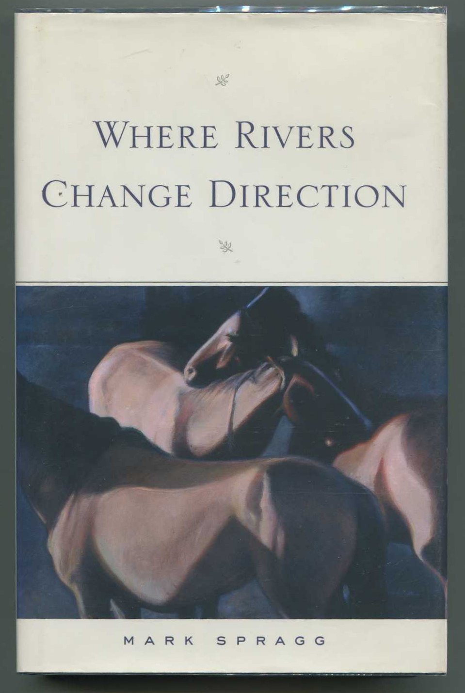 Image for Where Rivers Change Direction