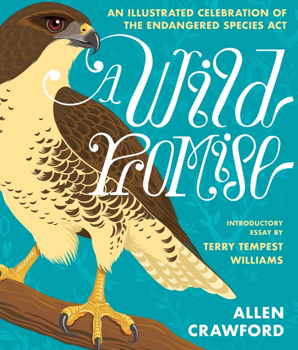 Image for A Wild Promise: An Illustrated Celebration of the Endangered Species Act