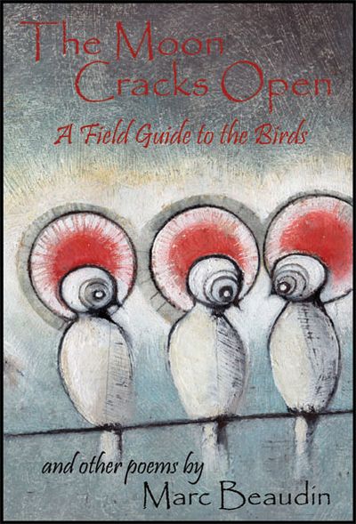 Image for The Moon Cracks Open A Field Guide to Birds and Other Poems