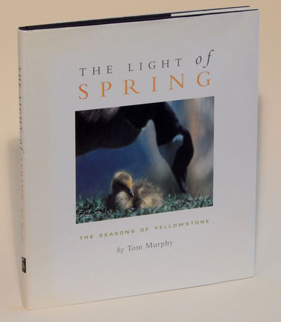 Image for The Light of Spring