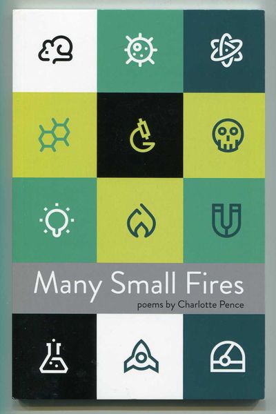 Image for Many Small Fires